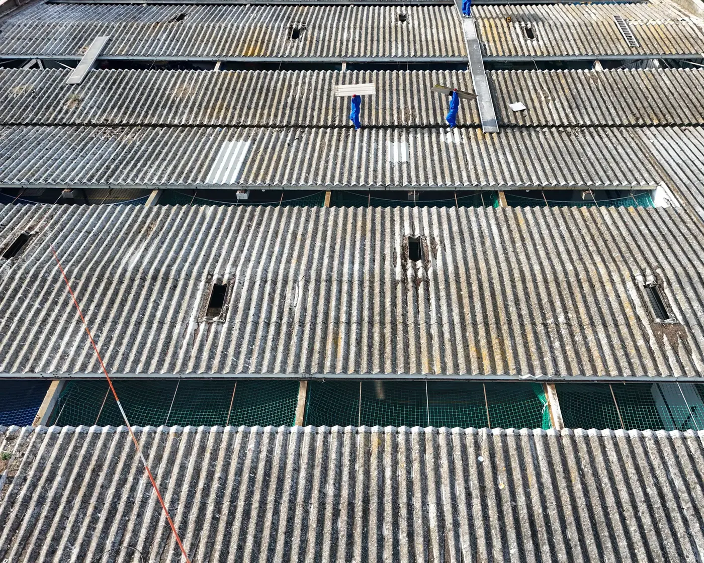 Old asbestos cement fibre roof before removal